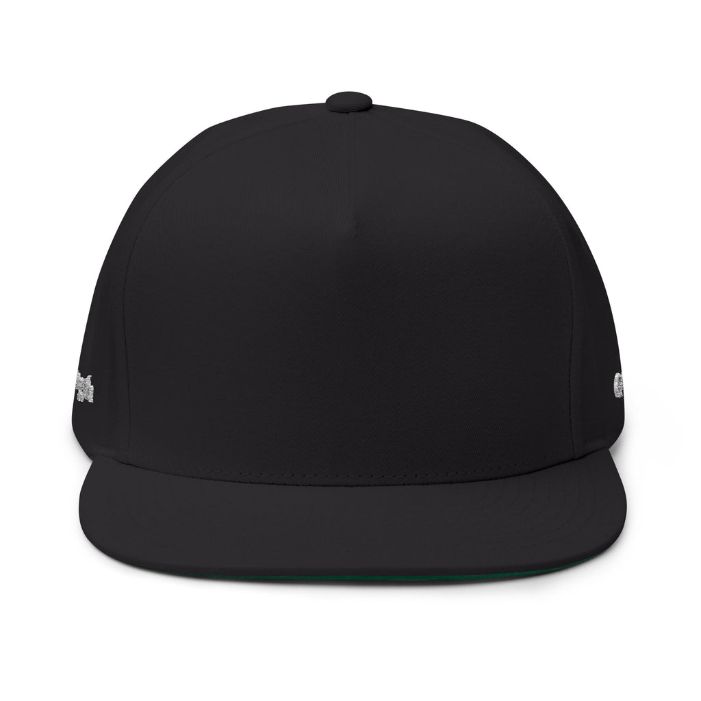 Quiet / Strength Flat Bill Cap — Unseen Strength Co