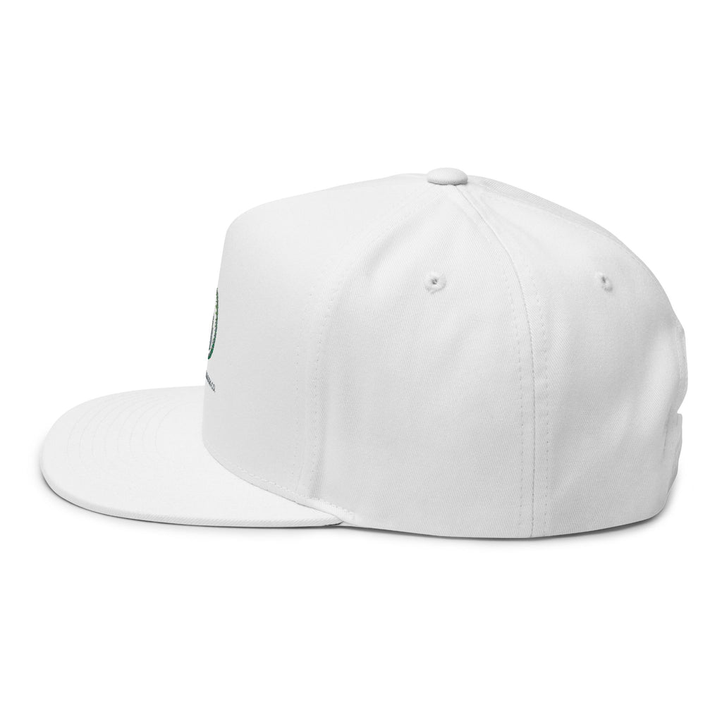 Unseen Strength Co Logo Flat Bill Cap