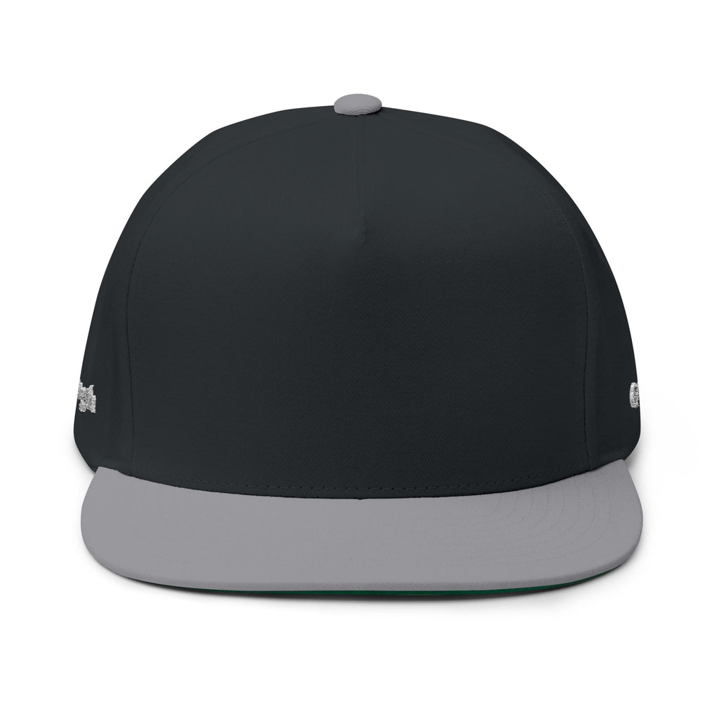 Quiet / Strength Flat Bill Cap — Unseen Strength Co